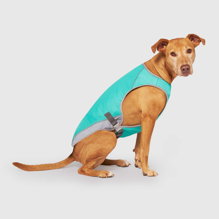 Chill Seeker Cooling Vest Wet Reveal - Curated Choice