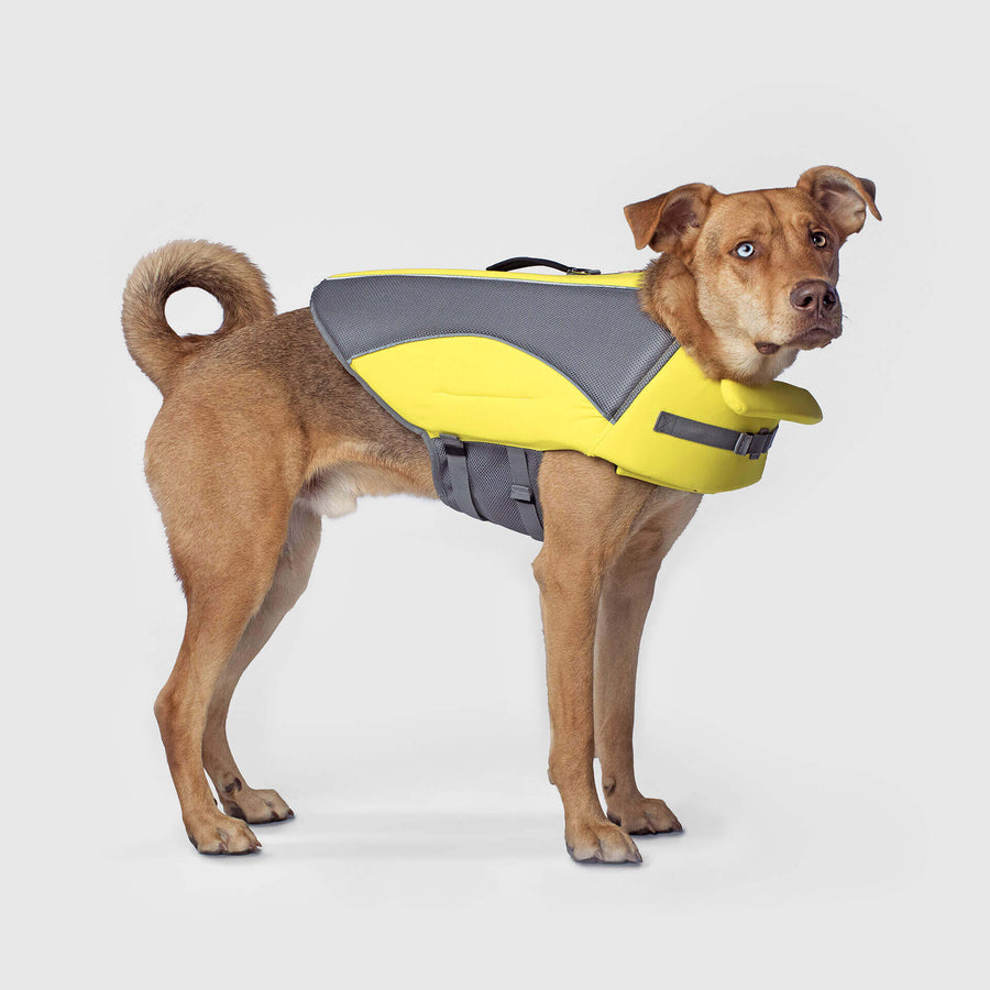 Wave Rider Life Jacket - Curated Choice